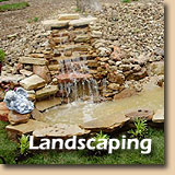 Landscape Gallery